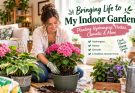 Moving Hydrangeas & Hostas: Sun-Based Backyard Planting Tips